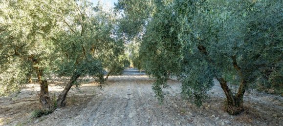 20000m² Land in Granada, Spain No. 166684 19