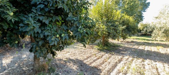 20000m² Land in Granada, Spain No. 166684 22