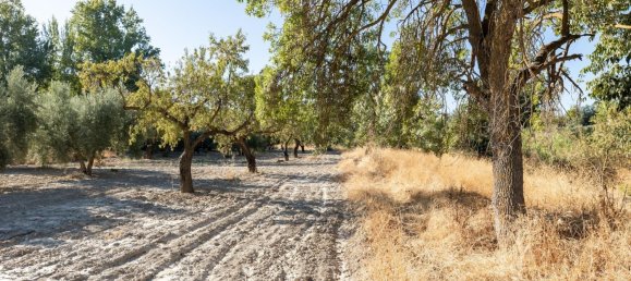 20000m² Land in Granada, Spain No. 166684 17