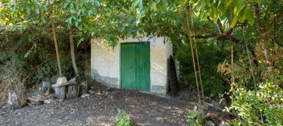 20000m² Land in Granada, Spain No. 166684 24