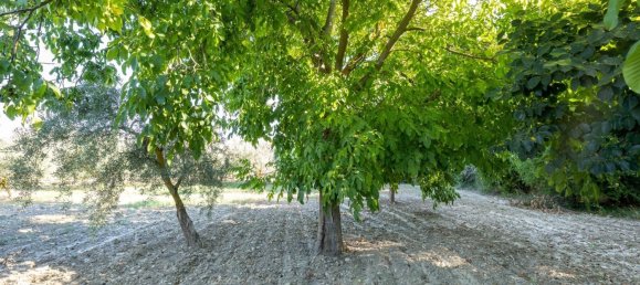 20000m² Land in Granada, Spain No. 166684 23