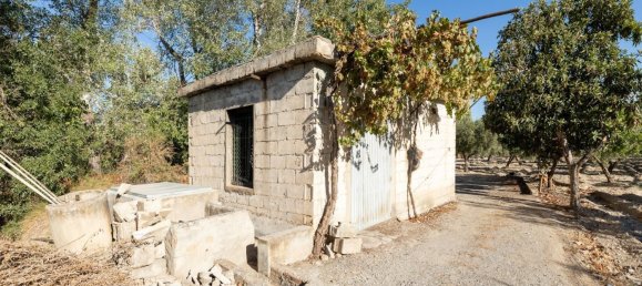 20000m² Land in Granada, Spain No. 166684 15