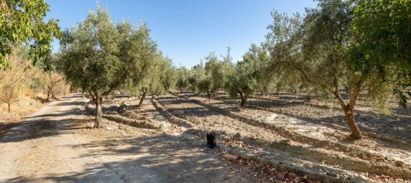 20000m² Land in Granada, Spain No. 166684 2