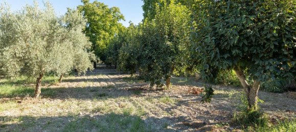 20000m² Land in Granada, Spain No. 166684 21