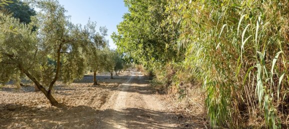 20000m² Land in Granada, Spain No. 166684 10