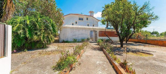 5 bedrooms House in Oliveira do Bairro, Portugal No. 206326 17