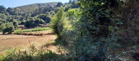 1 chambre Maison à Fiaes, Portugal No. 183104 13