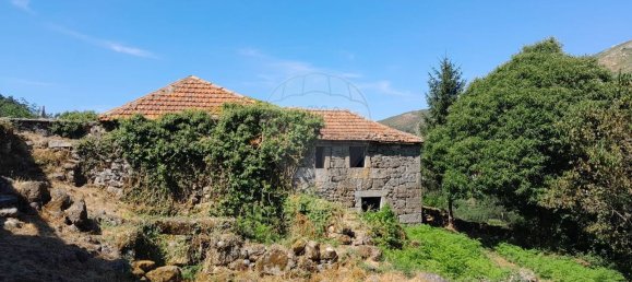 1 chambre Maison à Fiaes, Portugal No. 183104 4