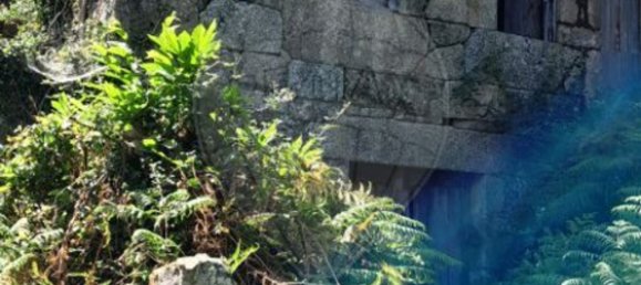 1 chambre Maison à Fiaes, Portugal No. 183104 8