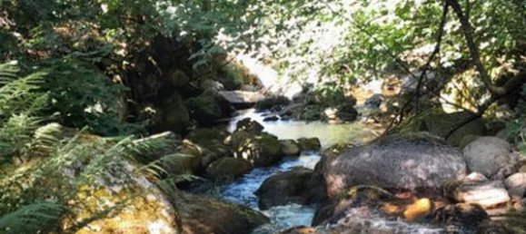 1 chambre Maison à Fiaes, Portugal No. 183104 10