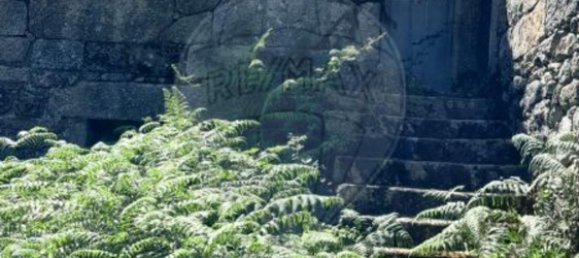 1 chambre Maison à Fiaes, Portugal No. 183104 9