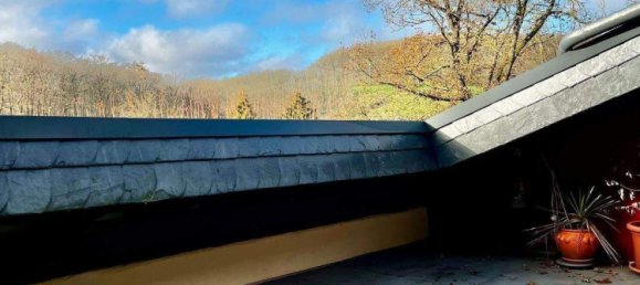 Таунхаус с 8 комнатами в Рейнланд-Пфальц, Германия № 274283 27