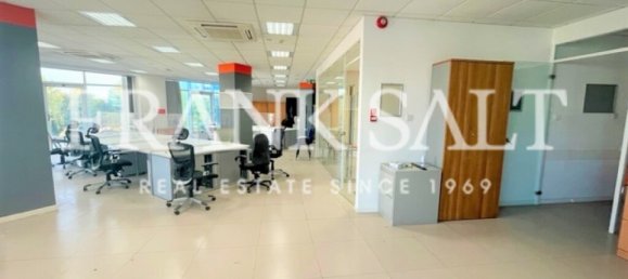 260m² Office in Qormi, Malta No. 12367 7