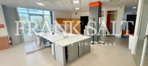 260m² Office in Qormi, Malta No. 12367 18