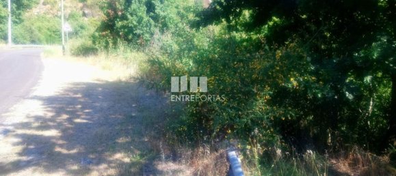 8713m² Land in Soalhaes, Portugal No. 57414 29