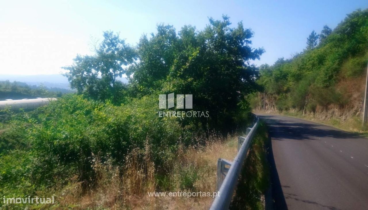 8713m² Land in Soalhaes, Portugal No. 57414