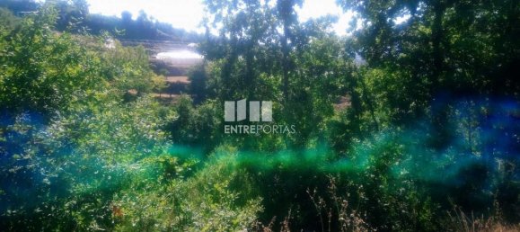 8713m² Land in Soalhaes, Portugal No. 57414 8