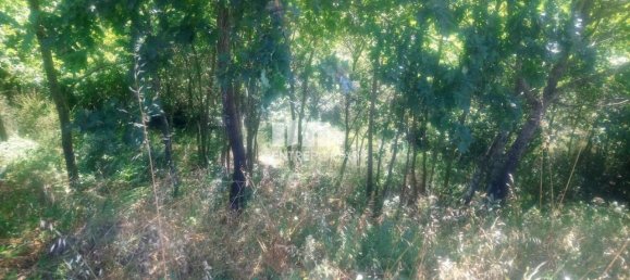 8713m² Land in Soalhaes, Portugal No. 57414 18