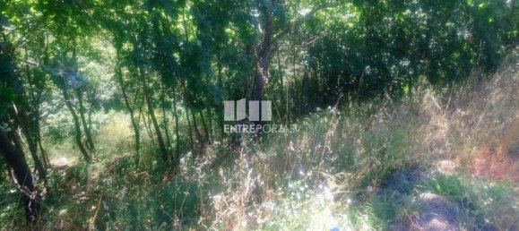 8713m² Land in Soalhaes, Portugal No. 57414 19