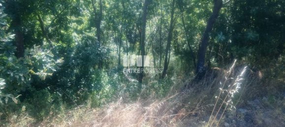 8713m² Land in Soalhaes, Portugal No. 57414 22