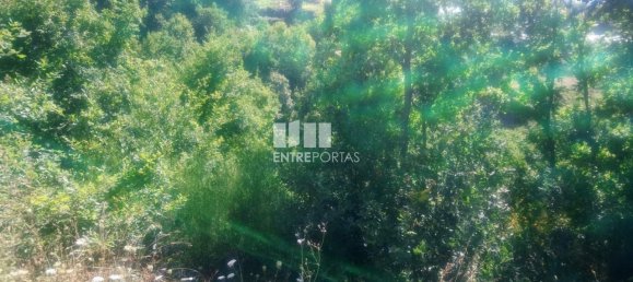 8713m² Land in Soalhaes, Portugal No. 57414 4