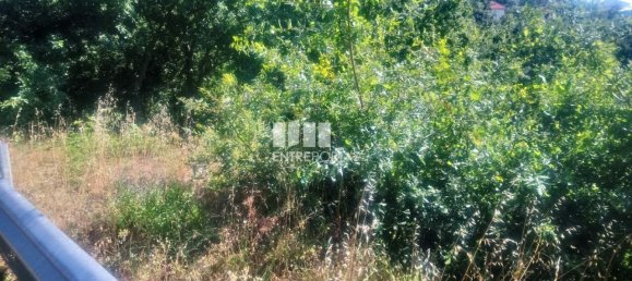 8713m² Land in Soalhaes, Portugal No. 57414 6