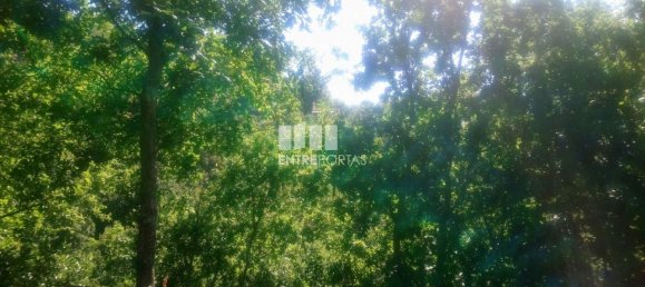 8713m² Land in Soalhaes, Portugal No. 57414 27