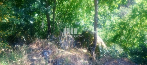 8713m² Land in Soalhaes, Portugal No. 57414 28