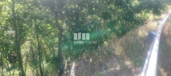 8713m² Land in Soalhaes, Portugal No. 57414 21