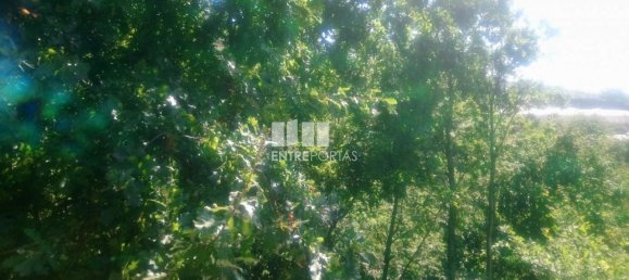 8713m² Land in Soalhaes, Portugal No. 57414 11