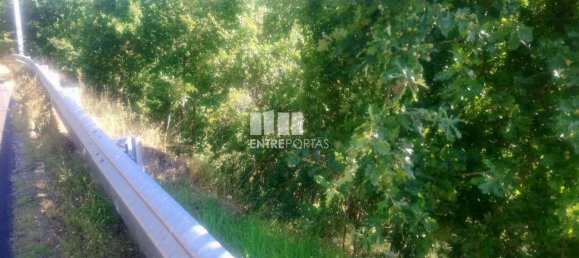 8713m² Land in Soalhaes, Portugal No. 57414 10