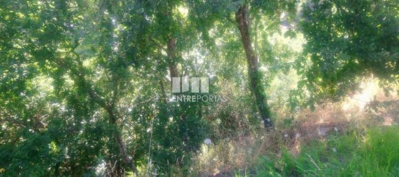 8713m² Land in Soalhaes, Portugal No. 57414 14