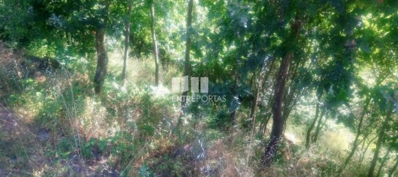 8713m² Land in Soalhaes, Portugal No. 57414 17