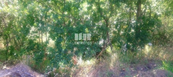 8713m² Land in Soalhaes, Portugal No. 57414 15