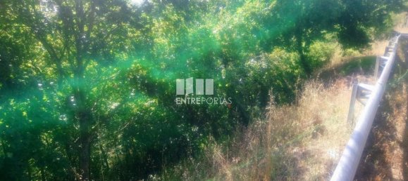 8713m² Land in Soalhaes, Portugal No. 57414 16