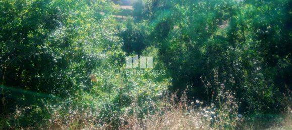 8713m² Land in Soalhaes, Portugal No. 57414 5