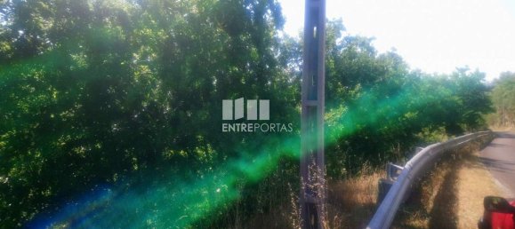 8713m² Land in Soalhaes, Portugal No. 57414 26