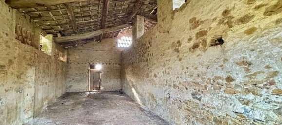 Studio in Castelnuovo Berardenga, Italy, Nr. 1497 10