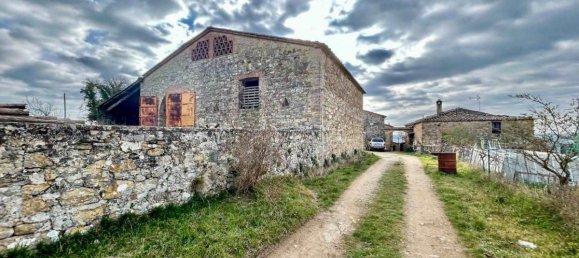 Studio in Castelnuovo Berardenga, Italy, Nr. 1497 11