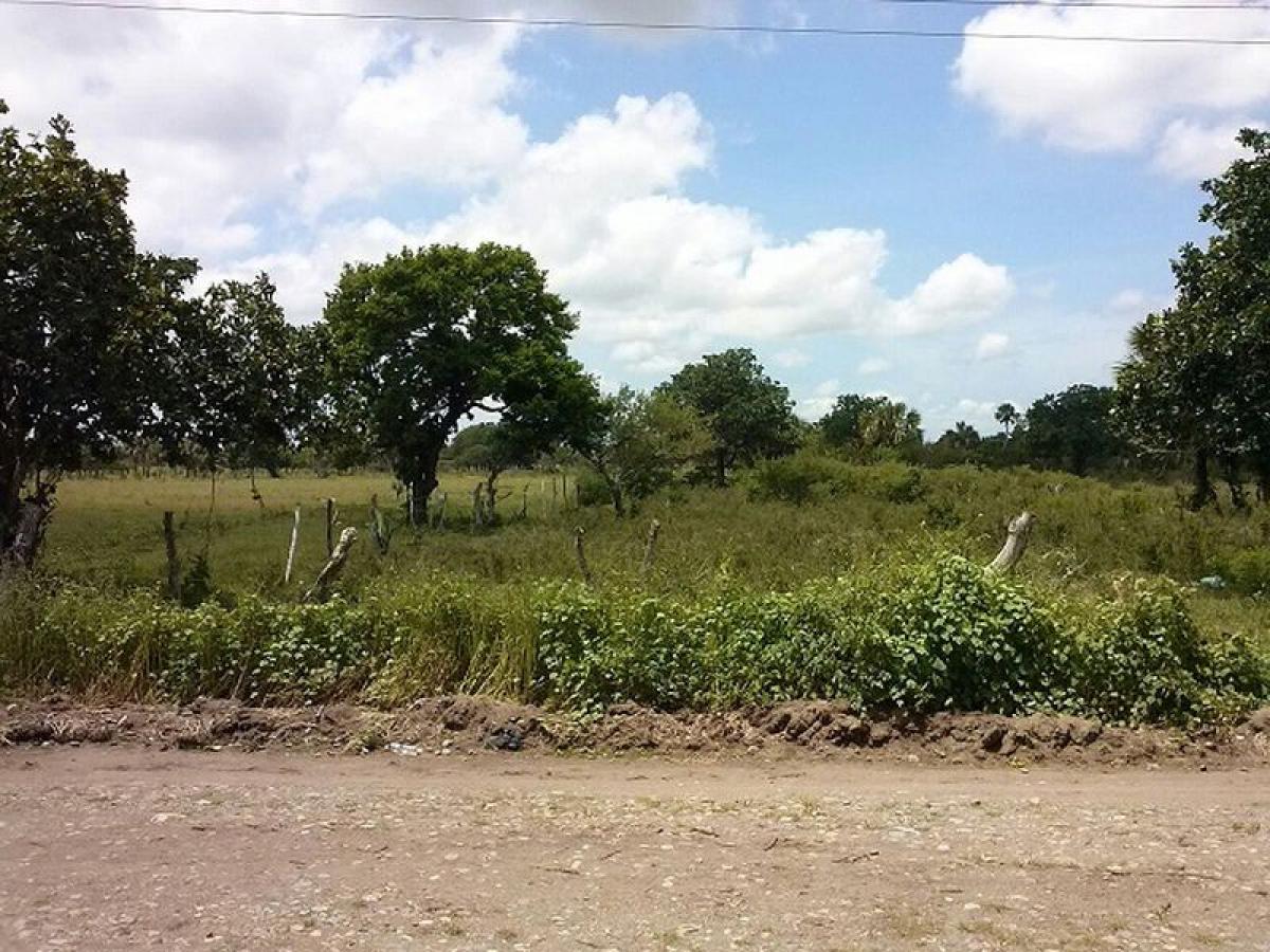  Land in Veracruz, Mexico No. 205310