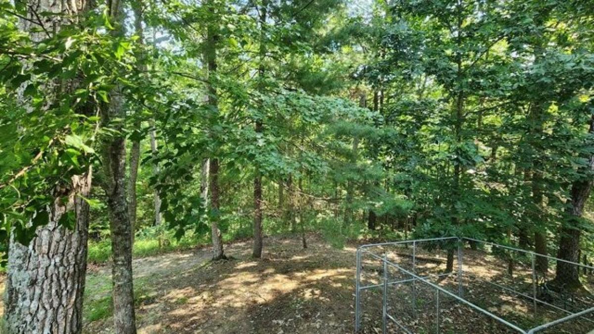 2 bedrooms House in Jamestown, USA No. 413180