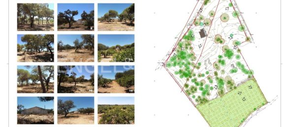 Grundstück in Almancil, Portugal 17948m², Nr. 145369 24