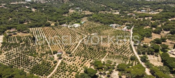 Grundstück in Almancil, Portugal 17948m², Nr. 145369 20