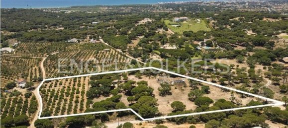 Grundstück in Almancil, Portugal 17948m², Nr. 145369 18