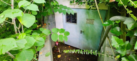 4-Zimmer Haus in Gaal, Austria, Nr. 210085 34