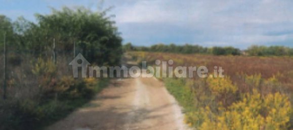 Склад с 5 комнатами в Ареццо, Италия № 370640 4