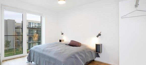 2 bedrooms Apartment in Diepholz, Germany No. 224251 7