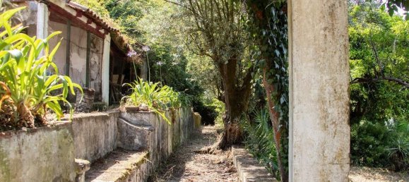 5 bedrooms House in Abrantes, Portugal No. 142582 22