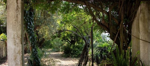 5 bedrooms House in Abrantes, Portugal No. 142582 23