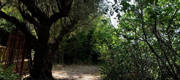 5 bedrooms House in Abrantes, Portugal No. 142582 24